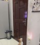 Clever Cat Opens the Door