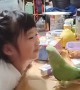 Bird Shows Little Girl Love