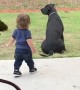 Mom catches toddler adorably walking out just to give dog a big hug