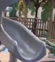 Curious Kitty Regrets Getting on Slide