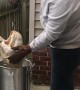 First Time Turkey Frying Safety Stress