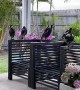 Kicking Back with a Family of Magpies