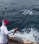 Sailfish Slams into Fisherman