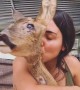 Rescued deer recovers from devastating injuries