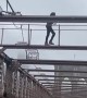 Good Guy Saves Man on Brooklyn Bridge