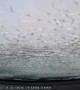 Ice Sheet Shatters Windshield