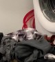 Kitty Brings Laundry Pile to Life
