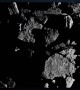 Surprises from Asteroid Bennu