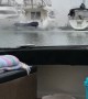 Quick Thinking Stops Boat from Burning