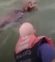 Dog found 200 yards offshore gets saved by US Coast Guard