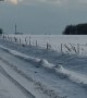 Amish Man Skis Behind Horse Drawn Wagon