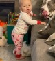 Sweet, gentle dog makes baby laugh