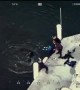 Baltimore Police rescue dog from harbor