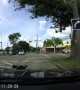 Dog Jumps From Car Stopped at Intersection