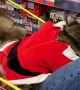 Christmas Shopping With a Raccoon