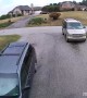 Driver Takes Out Mailbox