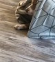 Neo Likes to Play Hide and Seek