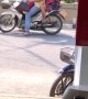 Person Playing with a Puppy on a Scooter