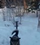 Dog Has a Showdown with the Shovel