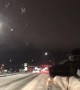 Moose Crosses through Traffic on Icy Road