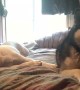 Annoyed dog complains to husky best friend who doesn\'t want to play