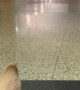 Super Excited Doggo Dives in for Airport Reunion