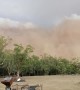 Menacing Dust Storm Sweeps over Town