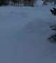 Snow Slide Stretches Across Multiple Backyards
