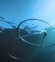 Underwater Double Bubble Rings