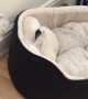 West Highland Terrier dogs play hilarious game of peek-a-boo
