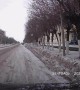 Person Fakes Fall in Front of Driver with Dashcam