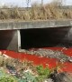 River Runs Red in the Philippines