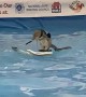 Twiggy, The Water Skiing Squirrel, Shows Off At the 2020 Toronto Boat Show