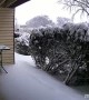 Time-Lapse Shows Snow Covering Garden Overnight