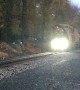 Deer Makes Close Call on Railway