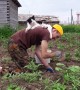 Cute Kitty 'Helps' with Gardening