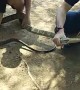 Removing King Cobra from Car