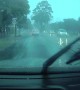 Tree Flattens Car in Perth Storm
