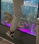 Man Dives Into Fish Tank After Engagement Ring