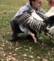 Adorable Turkey Loves Giving Out Hugs