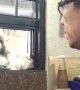 Doggo Doesn't Like When His Owner Sneezes