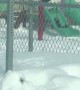 Abominable Snowman Seen on Playground Swing
