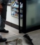 Sleepy Dogs Block Store Doorway