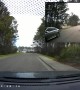 Duck Makes Impatient Driver Wait