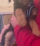 Vocal pup makes the cutest sounds you\'\'ll ever hear
