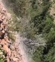 Hikers Encounter Rock Slide