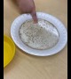 Simple experiment shows the importance of washing our hands!