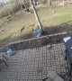 Rambunctious Doggos Knock Over Backyard Barbecue