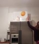 Cat plays balloon volleyball with her owner
