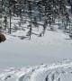 Rescuing a Moose Stuck in Deep Snow